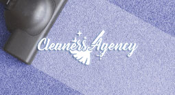 carpet cleaning